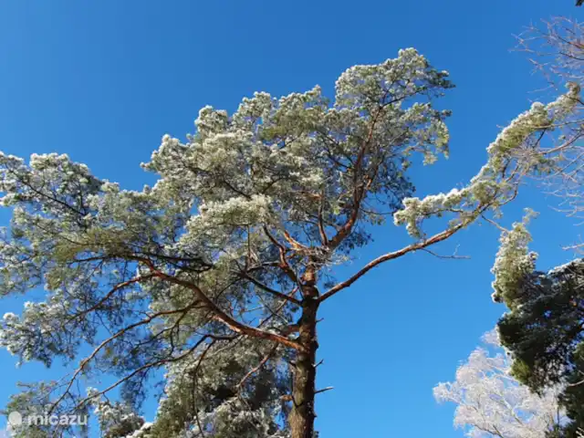 vakantiehuis huren in Nederland, Overijssel, Giethmen – Vakantiehuisje in Giethmen 11 maart 2023