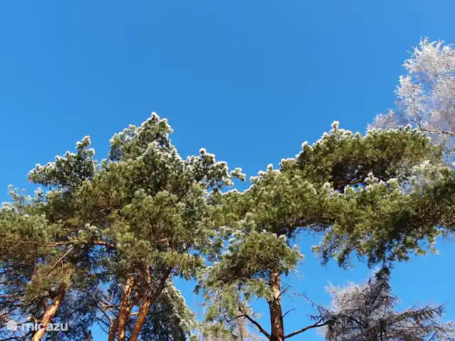 vakantiehuis huren in Nederland, Overijssel, Giethmen – Vakantiehuisje in Giethmen 11 maart 2023