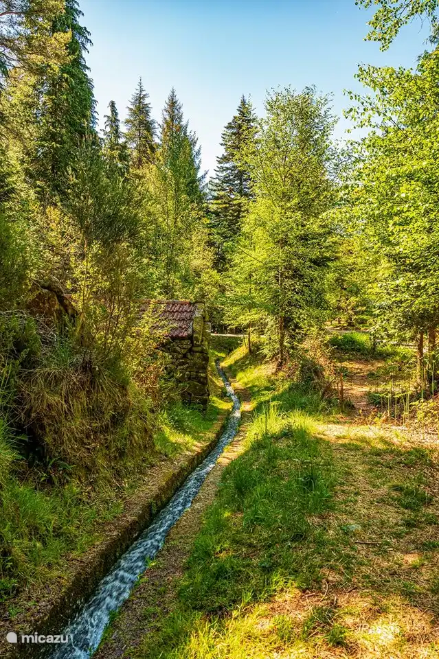Levada de Vibora/AbadimPorto D'Olho/Abadim