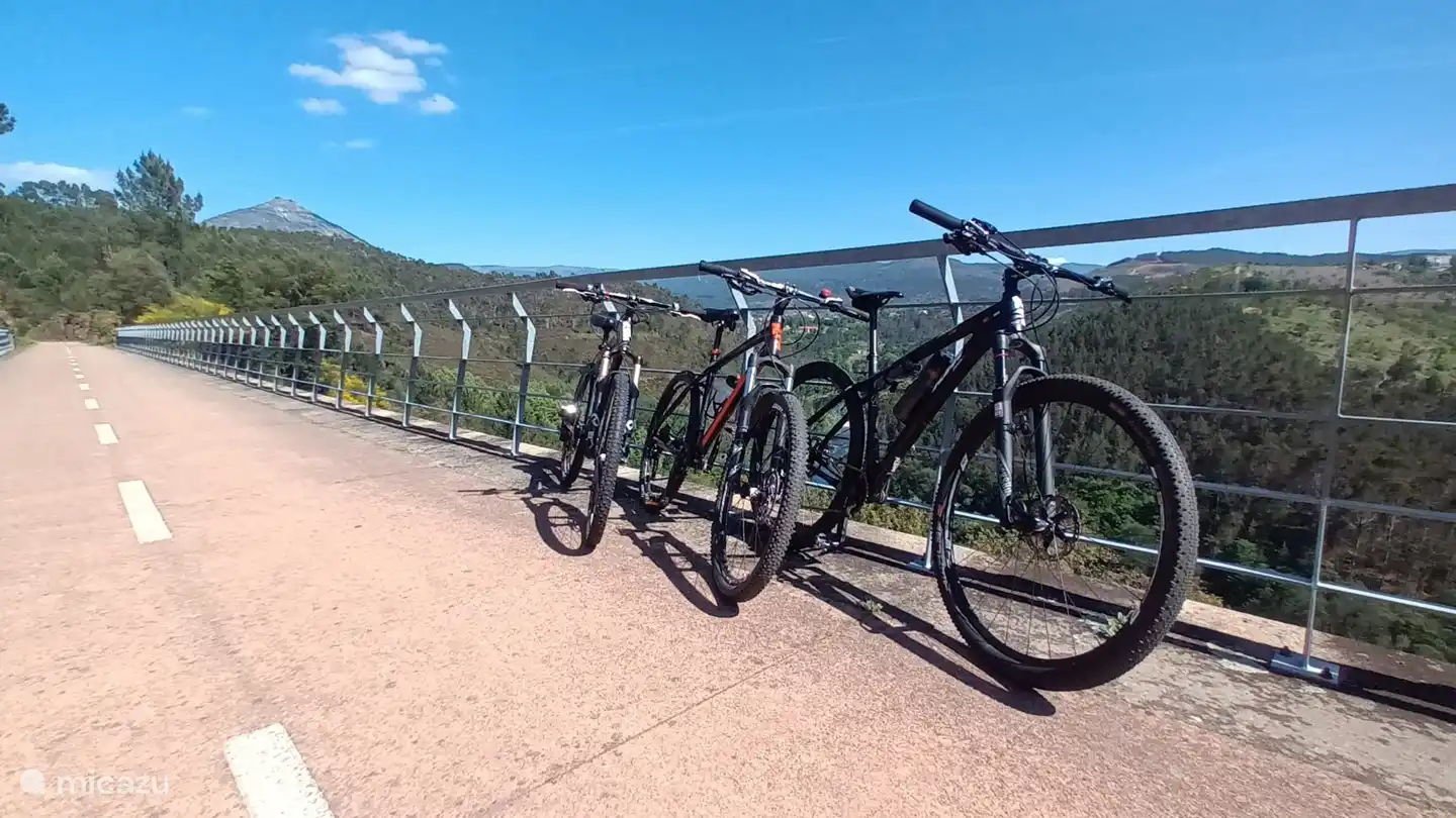 Fahrradverleih (auch elektrisch!) in der Region möglich.