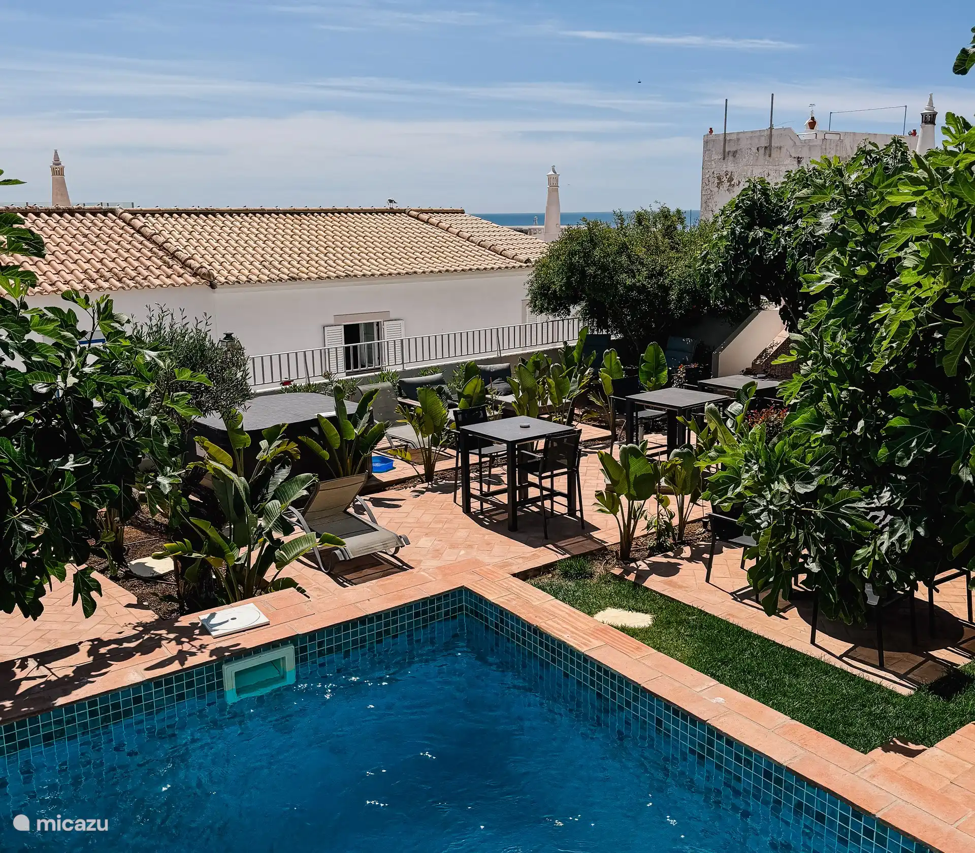 Jardín desde la terraza de la piscina 