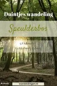 La forêt de Speulder est à 2 minutes à pied