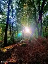 Un beau soleil matinal 