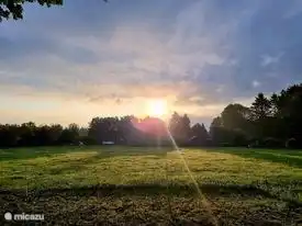 Le soleil couchant derrière les arbres 
