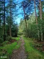 Environnement naturel