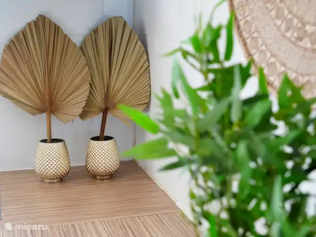 4BénédictionsCuraçao Abril | Curaçao, Banda Ariba (est), Cas Grandi - appartement