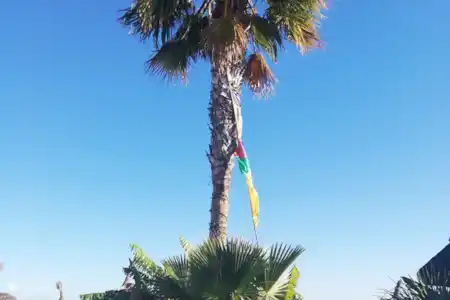 Soleil, mer et plage