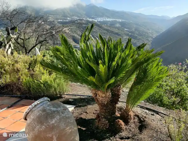 Maison Colorado | Espagne, Andalousie, Canillas de Aceituno - maison de vacances Vous pouvez voir Canillas de Aceituno à l'arrière de la Casa Colorado