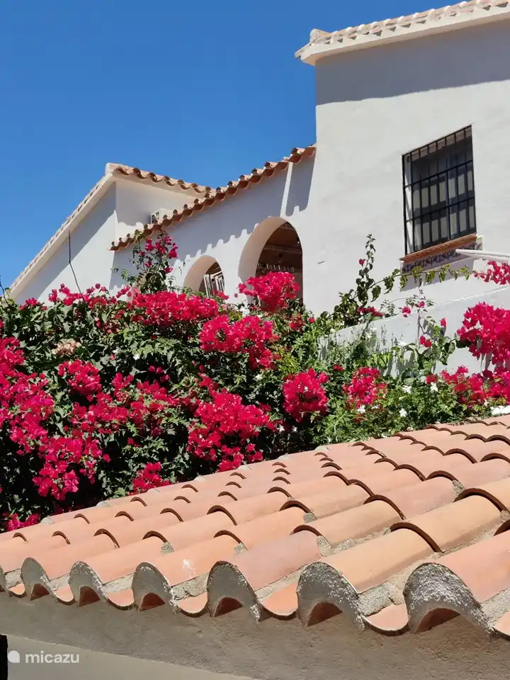Der Eingang befindet sich an der Seite der Villa, die reich mit Jasmin und Bougainvillea bewachsen ist.