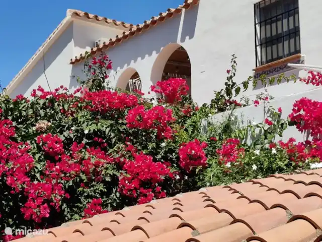 Maison Colorado | Espagne, Andalousie, Canillas de Aceituno - maison de vacances L'entrée se trouve sur le côté de la villa, qui est richement envahie de jasmin et de bougainvilliers.
