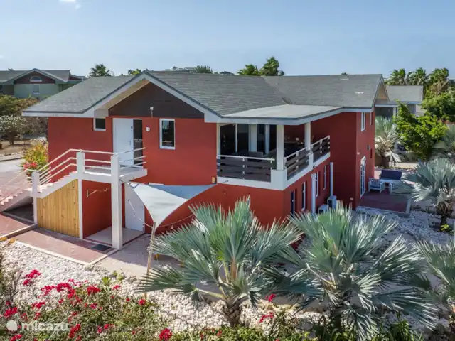 Maison de vacances de luxe avec vue sur la mer | Curaçao, Banda Ariba (est), La Privada (Mambo Beach) - maison de vacances Maison de vacances de luxe avec vue sur la mer | Curaçao, Banda Ariba (est), La Privada (Mambo Beach) - maison de vacances