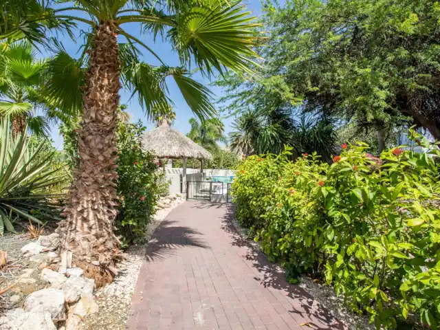 Maison de vacances de luxe avec vue sur la mer | Curaçao, Banda Ariba (est), La Privada (Mambo Beach) - maison de vacances