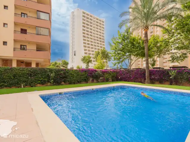 Apolo 12 - Alegria | Espagne, Costa Blanca, Calpe - appartement Piscine commune