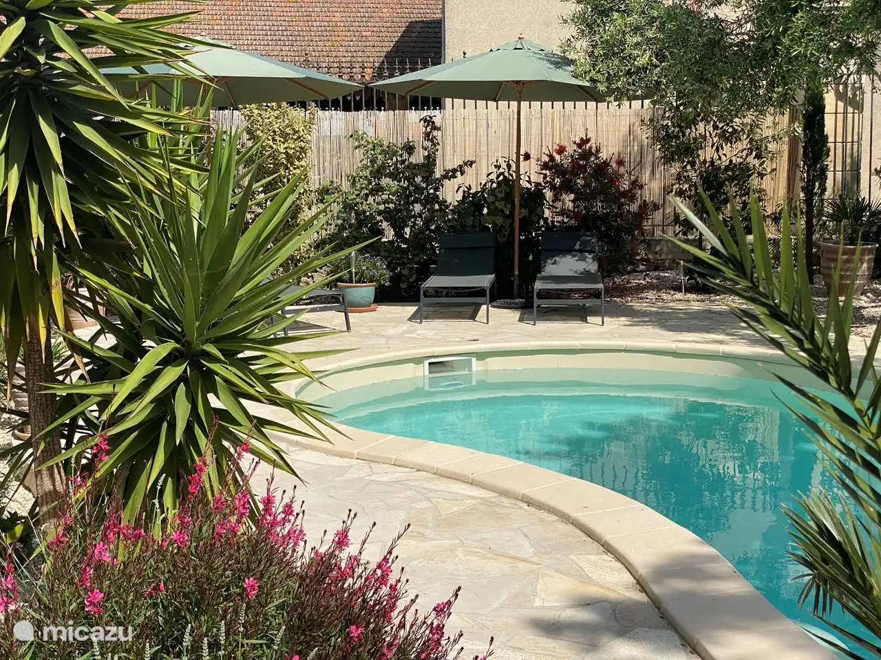 Garten mit Swimmingpool