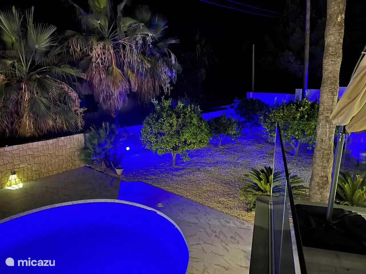Jardin illuminé avec citronniers et orangers