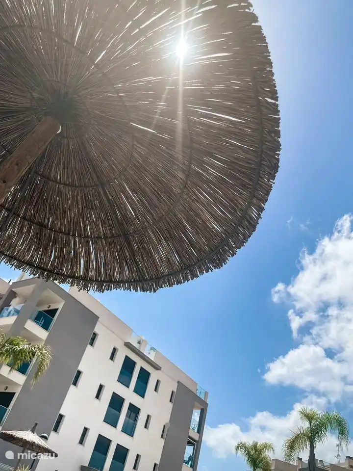 thatched umbrellas distributed between the pools