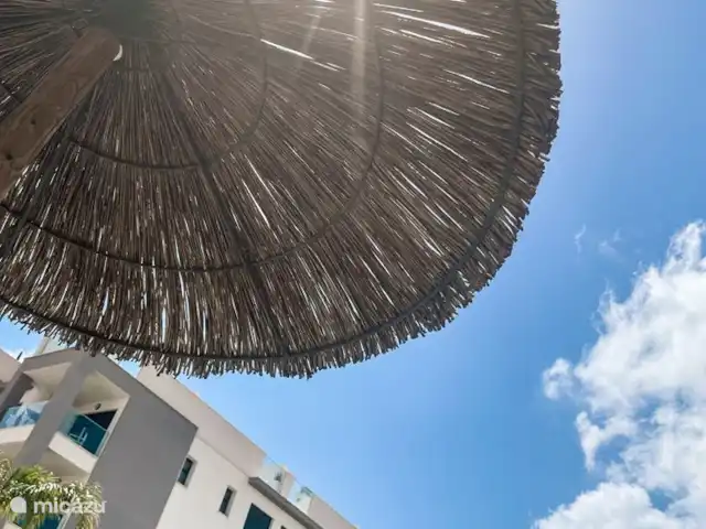 apartamento en España, Costa Blanca, Villamartin – valentino golf 137 sombrillas con techo de paja distribuidas entre las piscinas