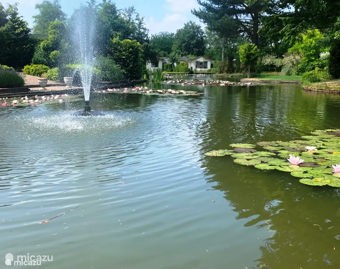 De vijver aangrenzend aan de tuin