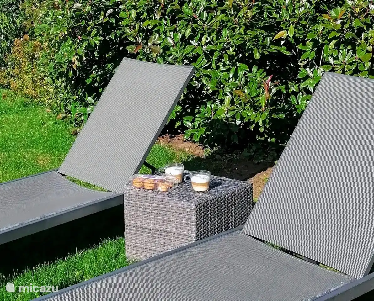 Sun beds, lounge set and garden chairs are available