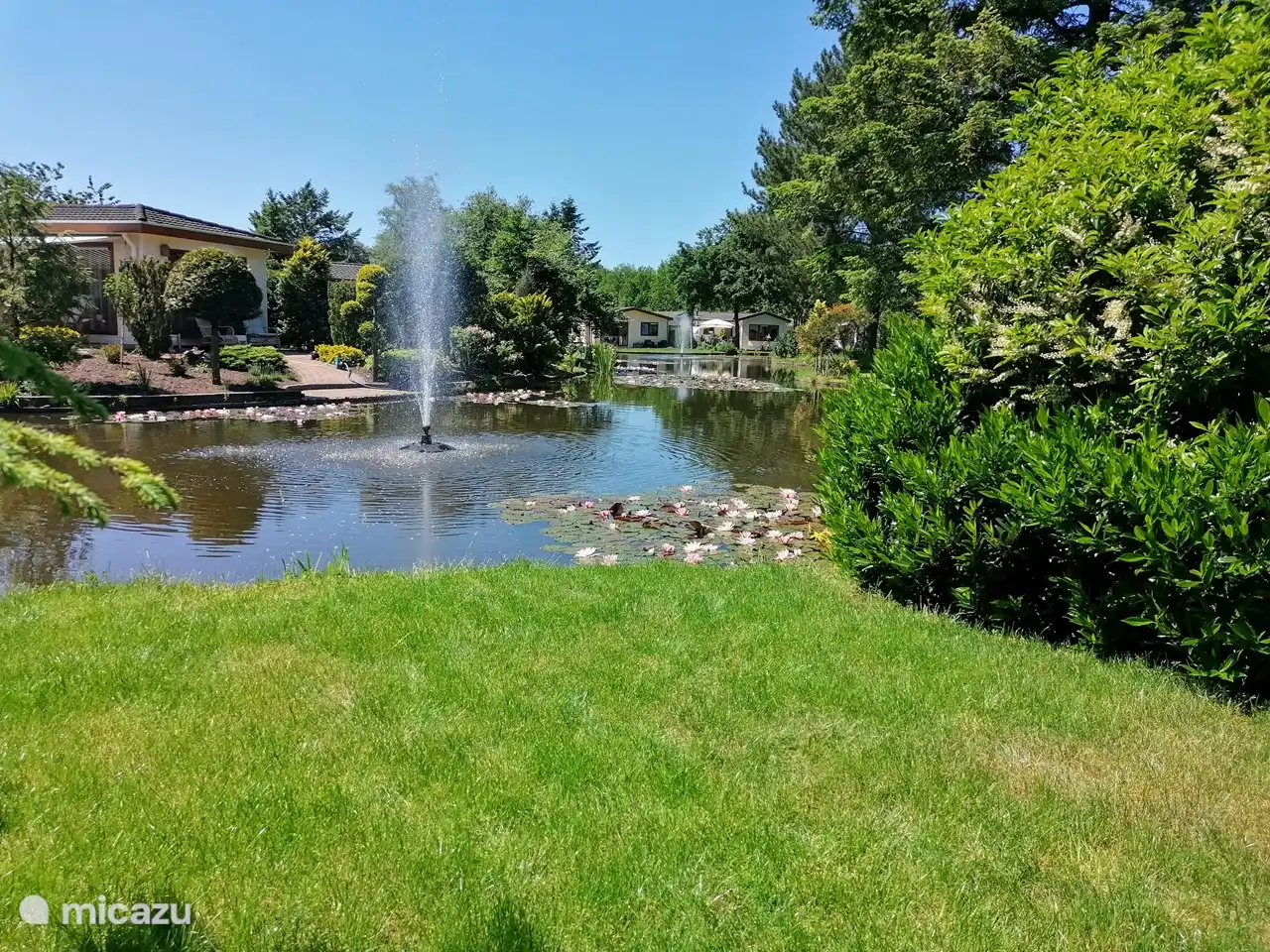 The garden borders a beautiful pond at the back