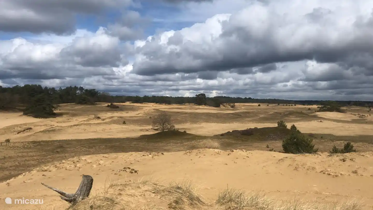 The Kootwijkerzand is a 5-minute walk away