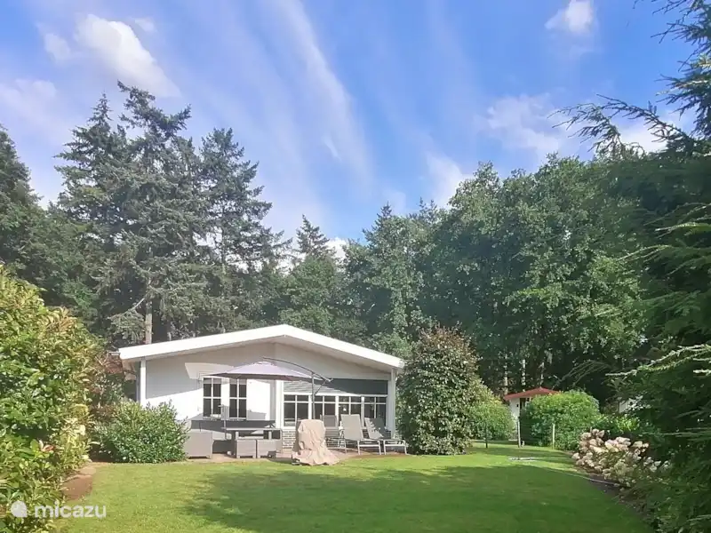 Chalet ensoleillé à côté d'un magnifique bassin ornemental | Pays-Bas, Gueldre, Kootwijk - Chalet Chalet ensoleillé à côté d'un magnifique bassin ornemental | Pays-Bas, Gueldre, Kootwijk - Chalet