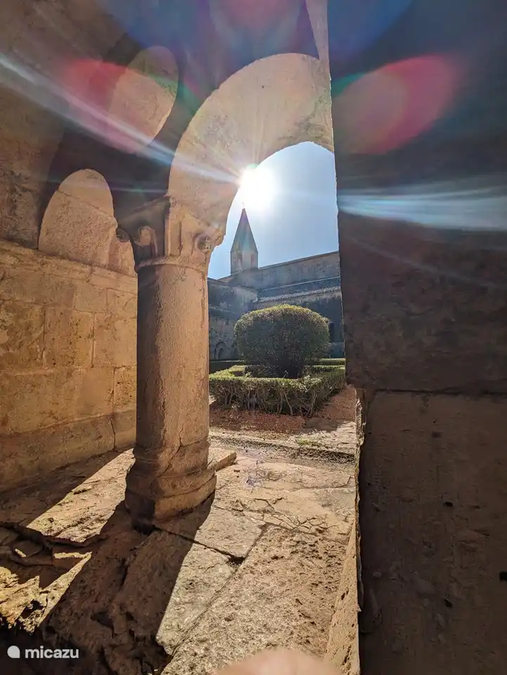 Besuchen Sie eine der authentischen Städte oder die berühmte Abtei von Le Thoronet.