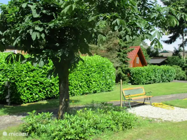 Location de Vacances Pays-Bas, Groningue, Marum, chalet - Maison forestière n° 30
