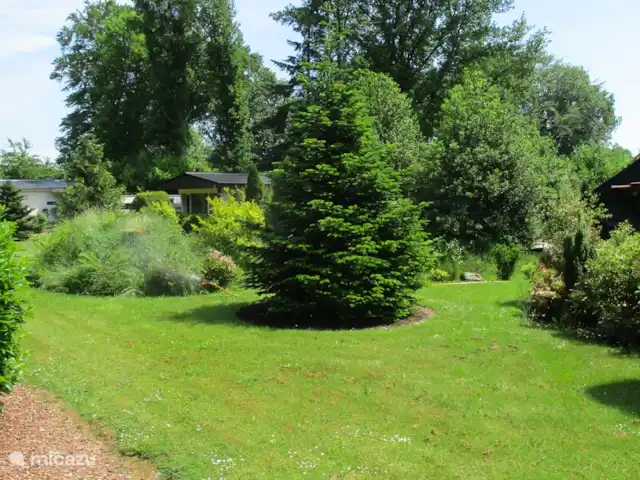 Location de Vacances Pays-Bas, Groningue, Marum, chalet - Maison forestière n° 30