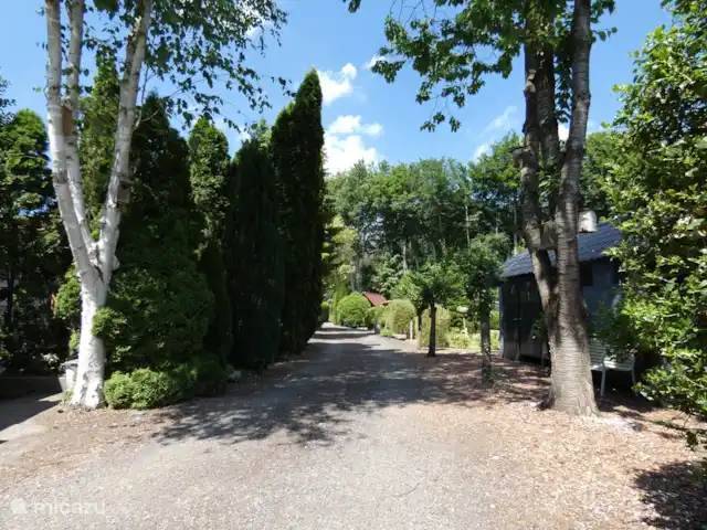 Location de Vacances Pays-Bas, Groningue, Marum, chalet - Maison forestière n° 30