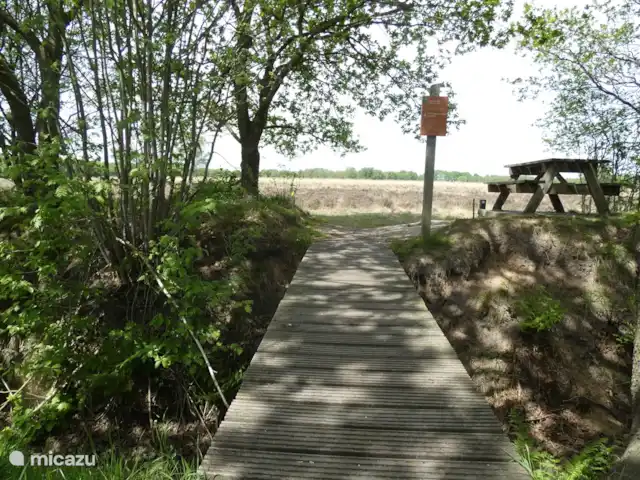 Location de Vacances Pays-Bas, Groningue, Marum, chalet - Maison forestière n° 30