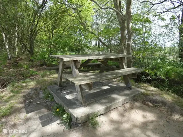 Location de Vacances Pays-Bas, Groningue, Marum, chalet - Maison forestière n° 30
