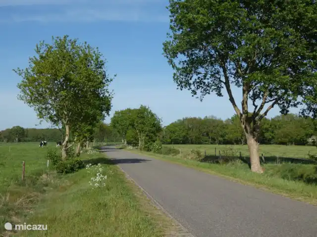 Location de Vacances Pays-Bas, Groningue, Marum, chalet - Maison forestière n° 30