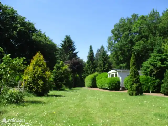 Location de Vacances Pays-Bas, Groningue, Marum, chalet - Maison forestière n° 30