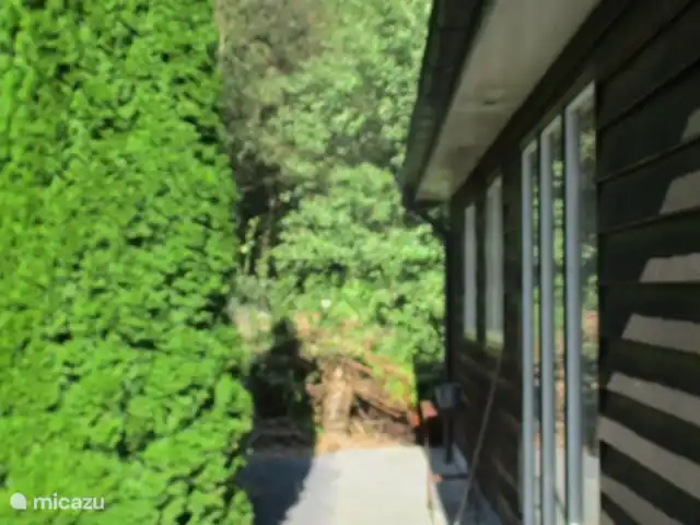 Location de Vacances Pays-Bas, Groningue, Marum, chalet - Maison forestière n° 30