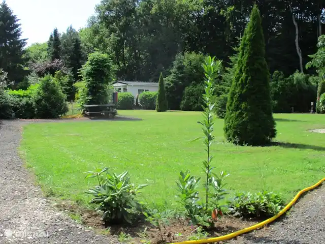 chalet huren in Nederland, Groningen, Marum – Boshuisje nr 28