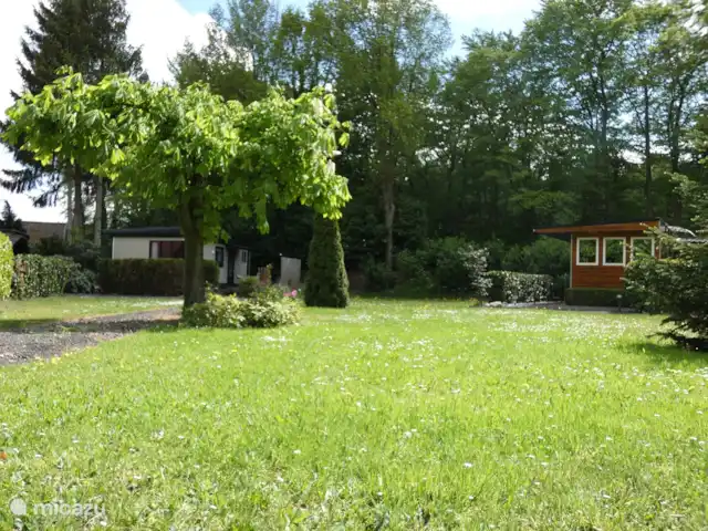 chalet huren in Nederland, Groningen, Marum – Boshuisje nr 28