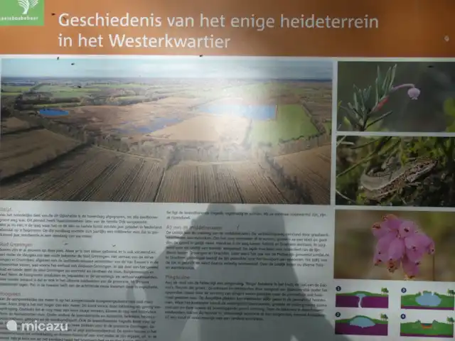 chalet huren in Nederland, Groningen, Marum – Boshuisje nr 28