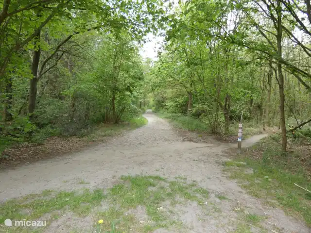 chalet huren in Nederland, Groningen, Marum – Boshuisje nr 28