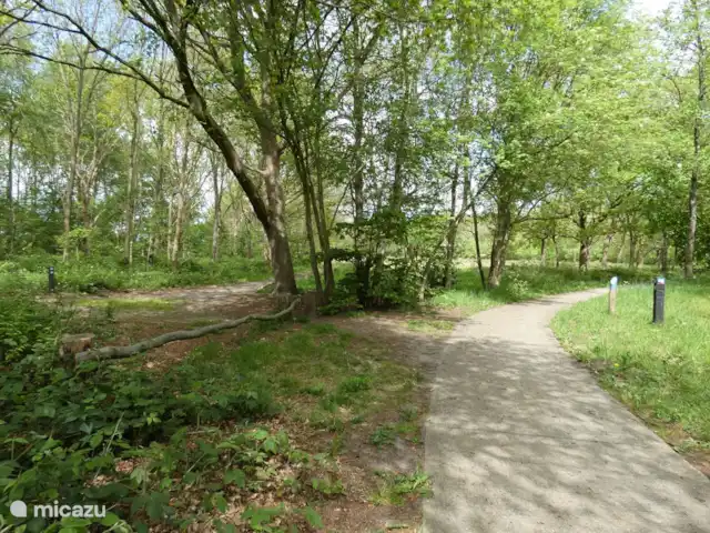 chalet huren in Nederland, Groningen, Marum – Boshuisje nr 28