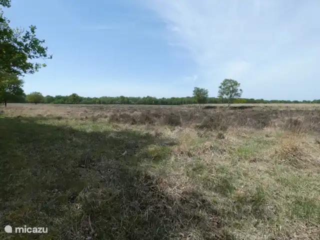 chalet huren in Nederland, Groningen, Marum – Boshuisje nr 26