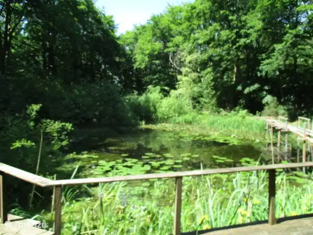 stacaravan huren in Nederland, Groningen, Marum – Boshuisje nr15