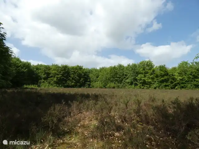 stacaravan huren in Nederland, Groningen, Marum – Boshuisje nr15