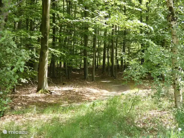 stacaravan huren in Nederland, Groningen, Marum – Boshuisje nr15