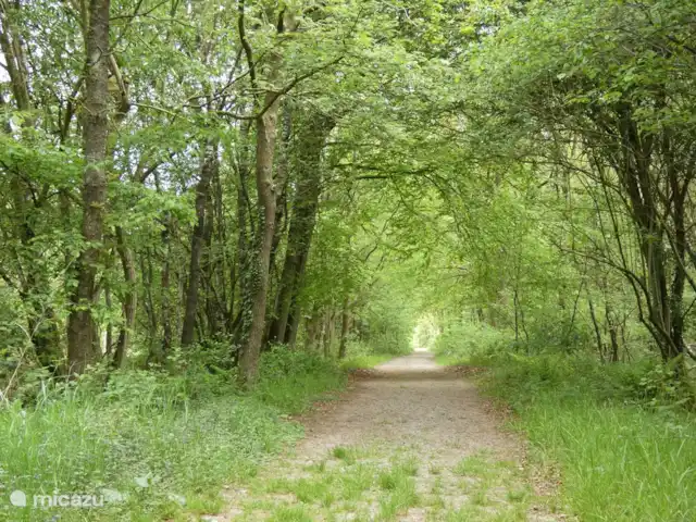 stacaravan huren in Nederland, Groningen, Marum – Boshuisje nr15