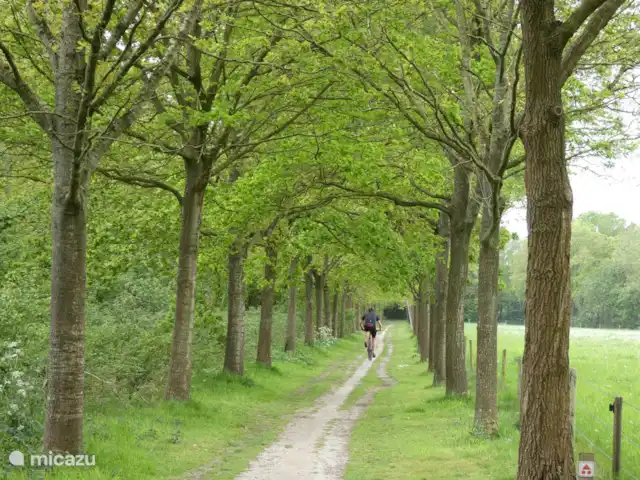 stacaravan huren in Nederland, Groningen, Marum – Boshuisje nr15