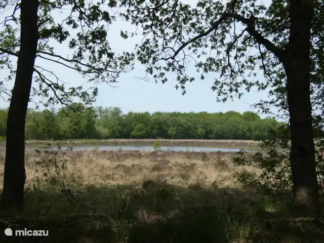 stacaravan huren in Nederland, Groningen, Marum – Boshuisje nr15