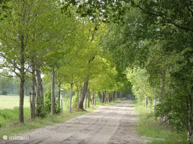 stacaravan huren in Nederland, Groningen, Marum – Boshuisje nr15