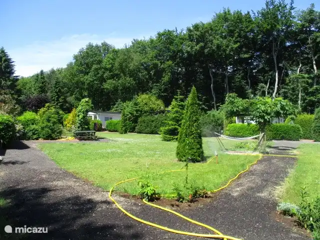 Location de Vacances Pays-Bas, Groningue, Marum, cabane en bois / lodge - Maison forestière n° 14