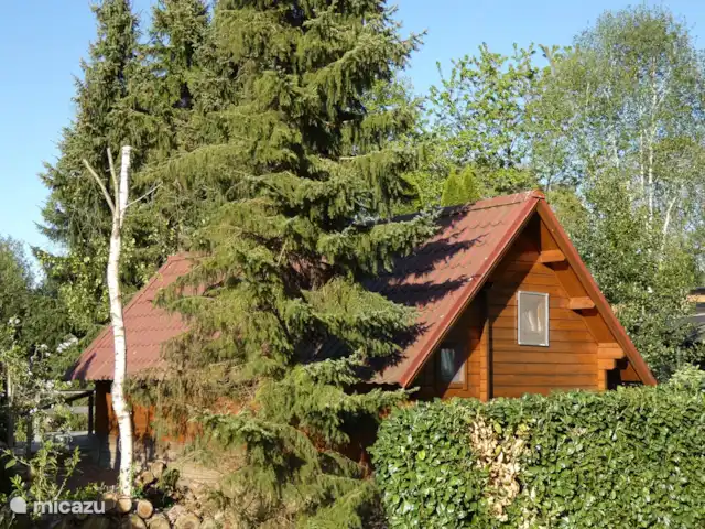 Location de Vacances Pays-Bas, Groningue, Marum, cabane en bois / lodge - Maison forestière n° 14